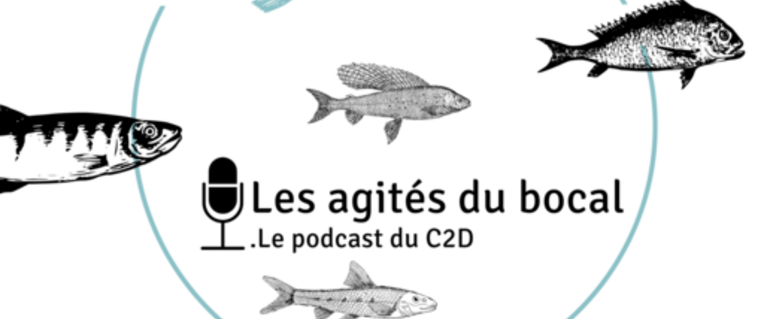 Image de l'actualité La CEM de Meylan et le C2D partagent leur expérience d'habitants impliqués dans des assemblées citoyennes.
