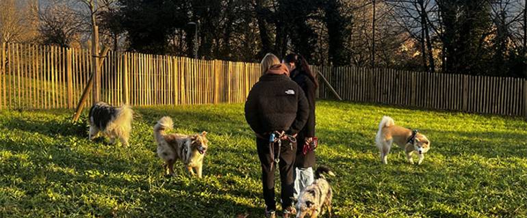 Image de l'actualité Un espace de liberté canine à Meylan ! Exprimez-vous !
